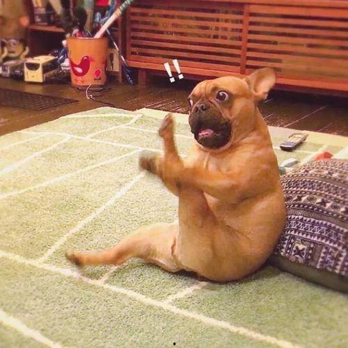 陈独秀坐下搞笑,一坐成名