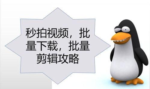 秒拍搞笑对话视频,笑料百出，欢乐无限