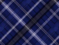 针织物的背景资料